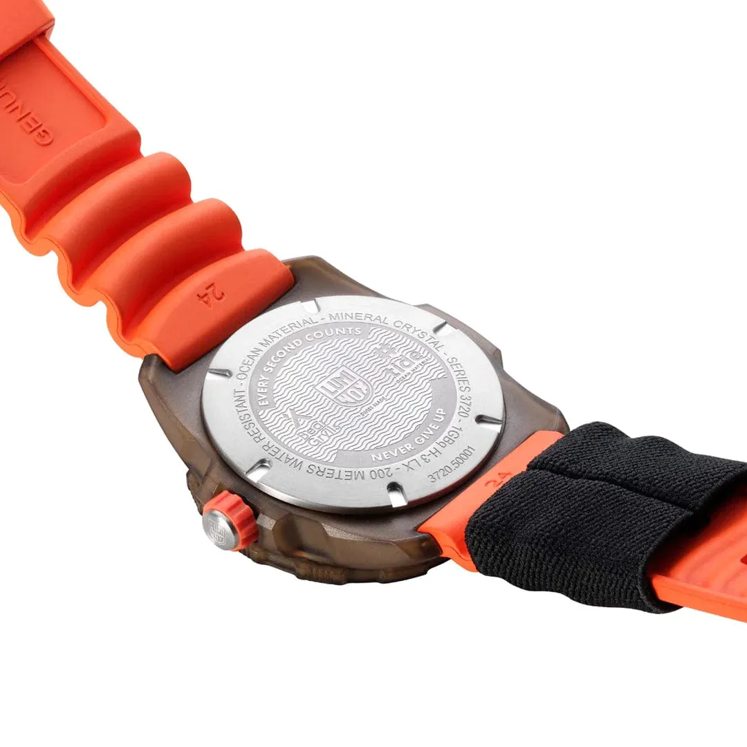 Bear Grylls Survival Rule3