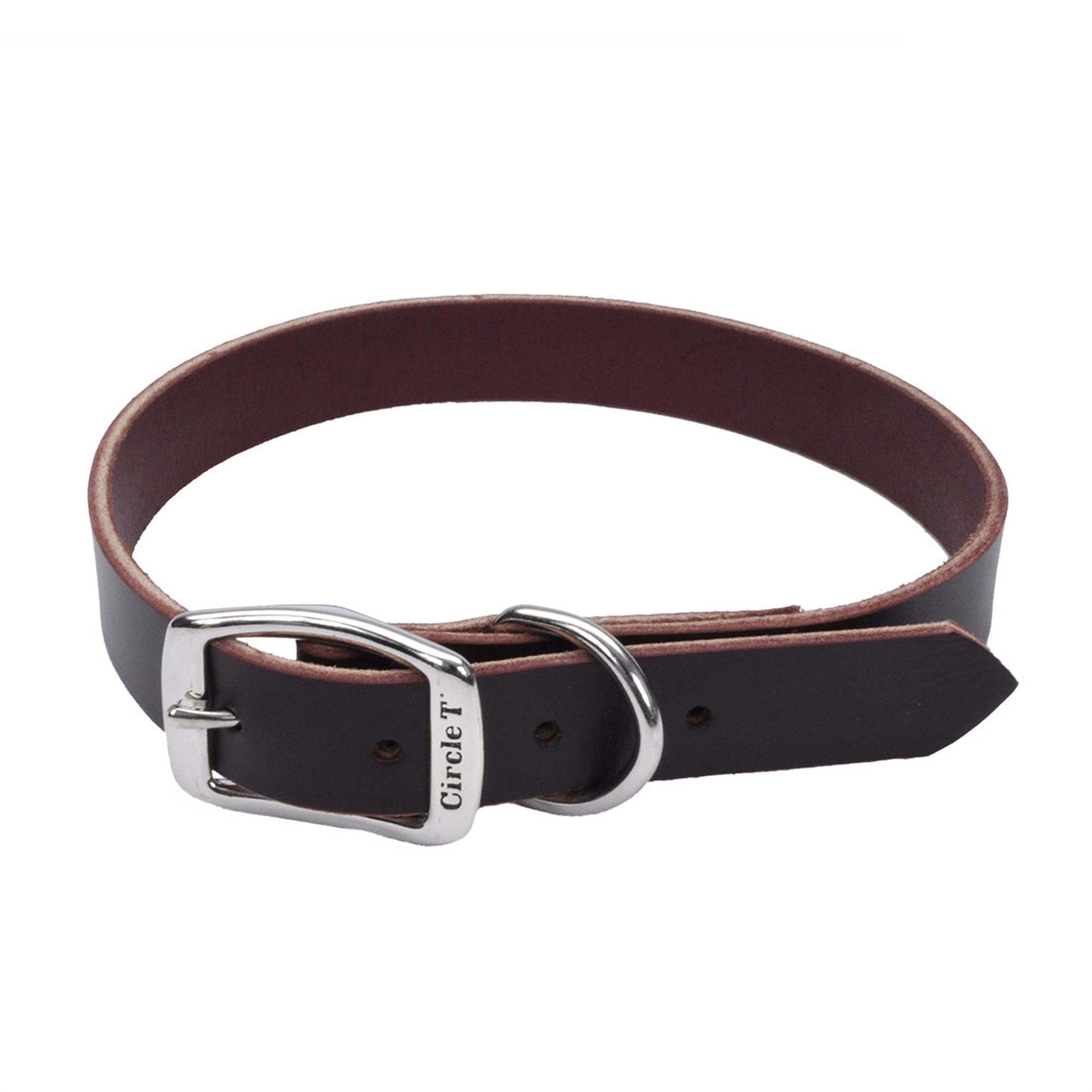 Circle T® Latigo Leather Town Dog Collar, Medium 18"