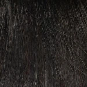 Harper Wig by Envy | Synthetic (Lace Front Mono Part)