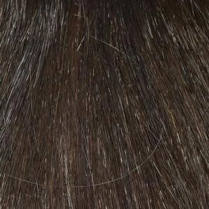 Harper Wig by Envy | Synthetic (Lace Front Mono Part)