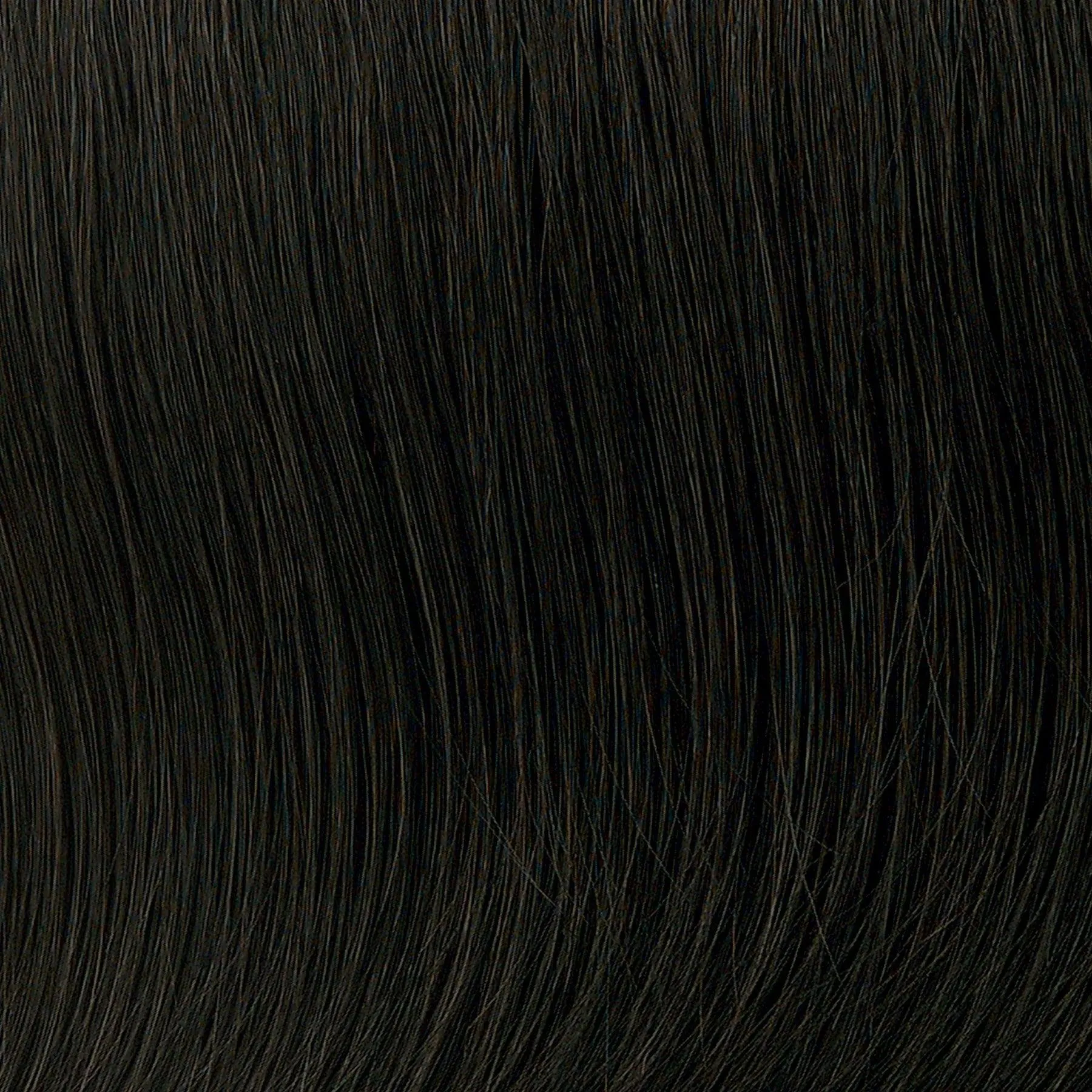 Honey Do Bun  Hairpiece by Toni Brattin | Heat Friendly Synthetic