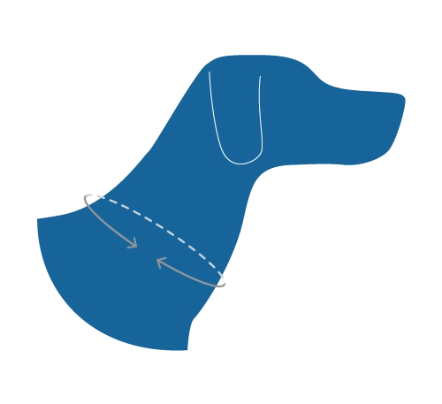 RC Pets Eco Clip Collar for Dogs in Riptide Pattern