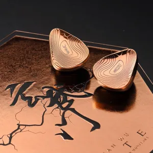TANGZU Xuanwu GATE 1DD 4BA 2EST Tribrid In-Ear Monitors