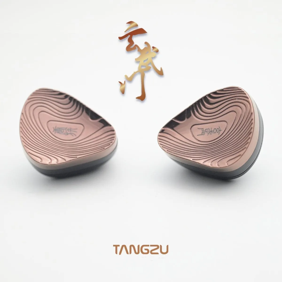 TANGZU Xuanwu GATE 1DD 4BA 2EST Tribrid In-Ear Monitors